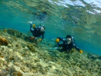 DSCF0195.jpg