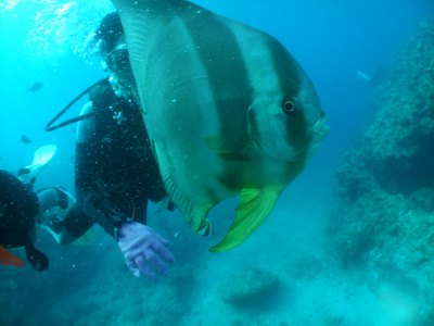 DSCF3717.jpg