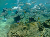 DSCF2102.jpg