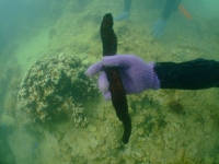 DSCF2351.jpg