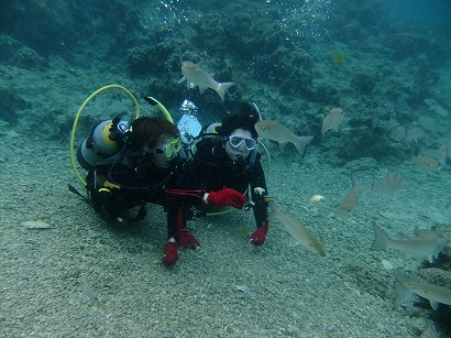 DSCF0648.jpg