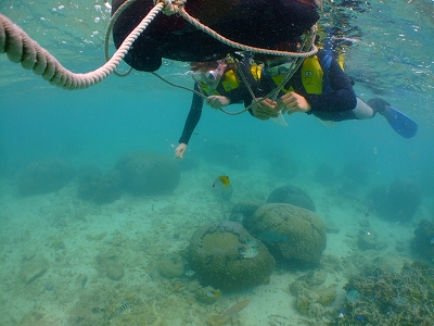 DSCF3889.jpg