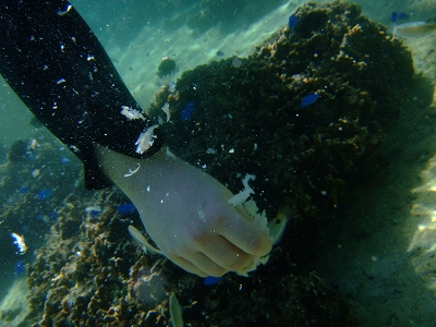 DSCF4902.jpg