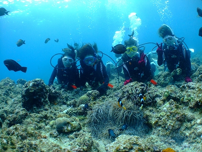 DSCF5347.jpg