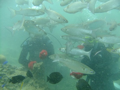DSCF5425.jpg