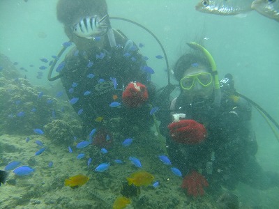 DSCF5431.jpg