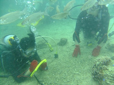 DSCF5497.jpg