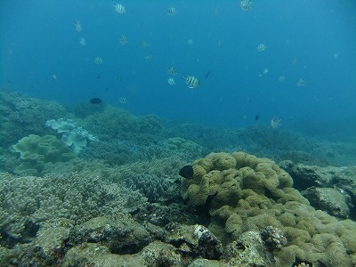 DSCF5943.jpg