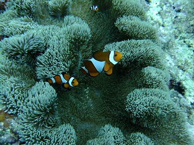 DSCF5945.jpg