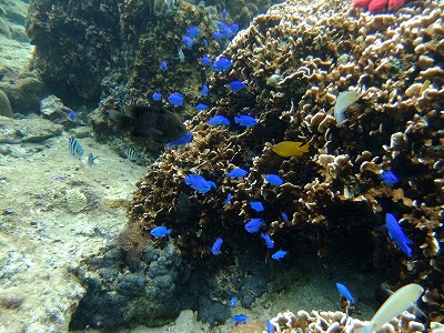 DSCF5958.jpg