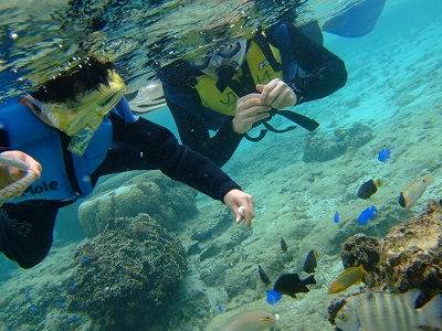 DSCF6294.jpg