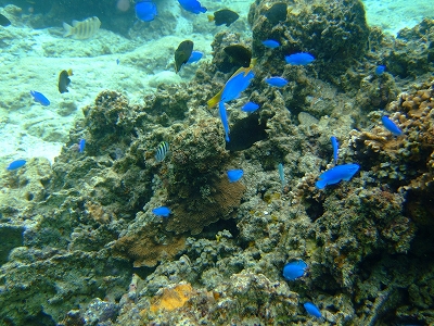 DSCF6295.jpg