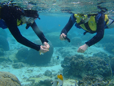 DSCF6646.jpg