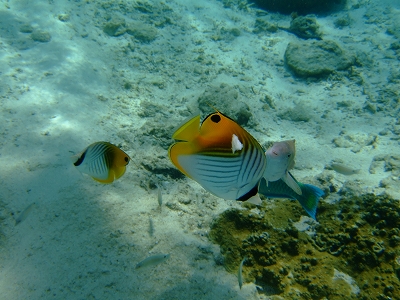 DSCF6669.jpg