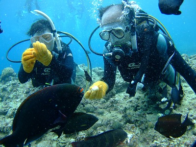 DSCF6881.jpg
