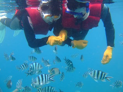 DSCF7270.jpg