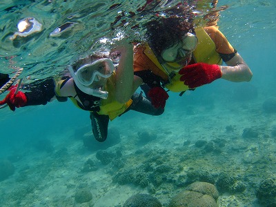 DSCF8038.jpg