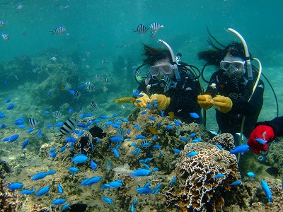 DSCF8070.jpg