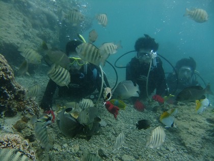 DSCF8226.jpg