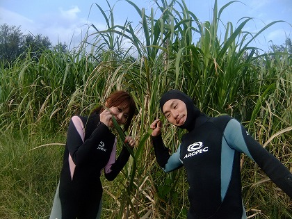 DSCF8231.jpg