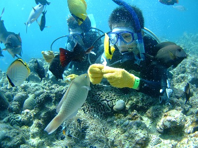 DSCF8296.jpg