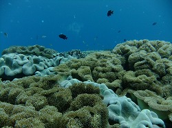 DSCF8382.jpg