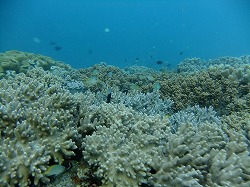 DSCF8407.jpg