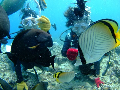 DSCF8475.jpg
