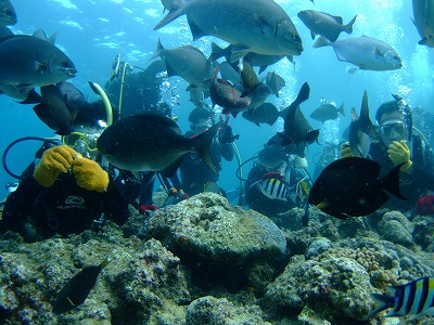 DSCF8516.jpg
