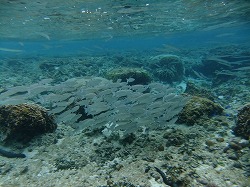 DSCF8558.jpg