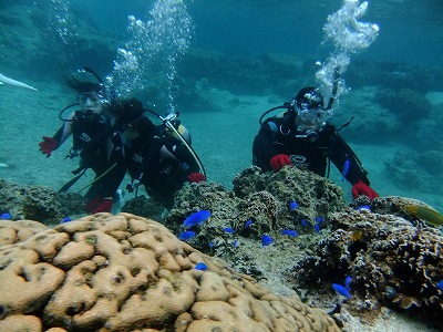DSCF8649.jpg