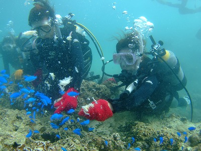 DSCF8738.jpg