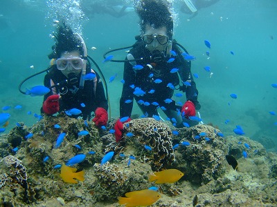 DSCF8753.jpg