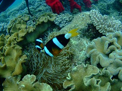 DSCF8777.jpg