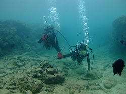 DSCF8791.jpg