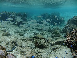 DSCF8814.jpg