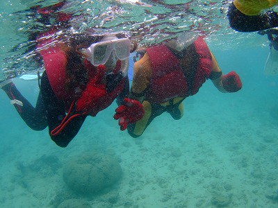 DSCF8932.jpg