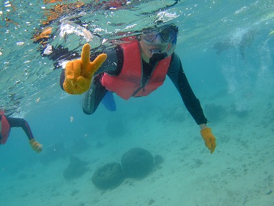 DSCF8937.jpg
