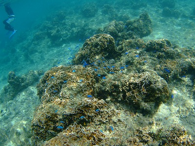 DSCF9043.jpg