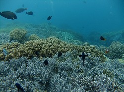DSCF9599.jpg