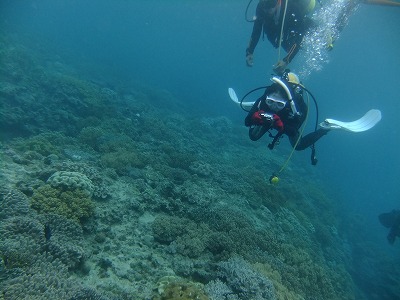 DSCF9736.jpg