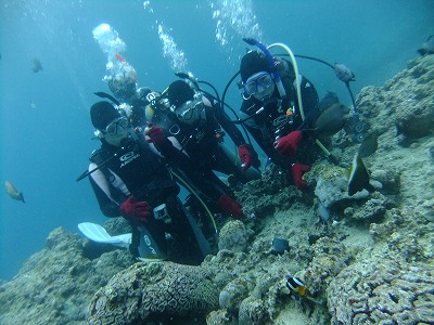 DSCF9804.jpg
