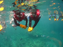 IMG_0144.jpg