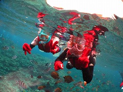 IMG_0336.jpg