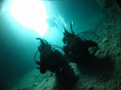 IMG_0704.jpg