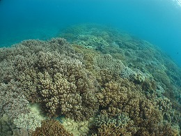 IMG_0940.jpg