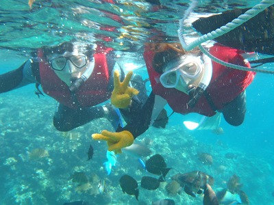 PA072927.jpg