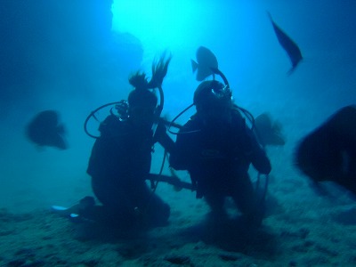 PA203260.jpg