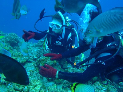 PA203274.jpg