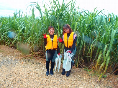 PA213279.jpg